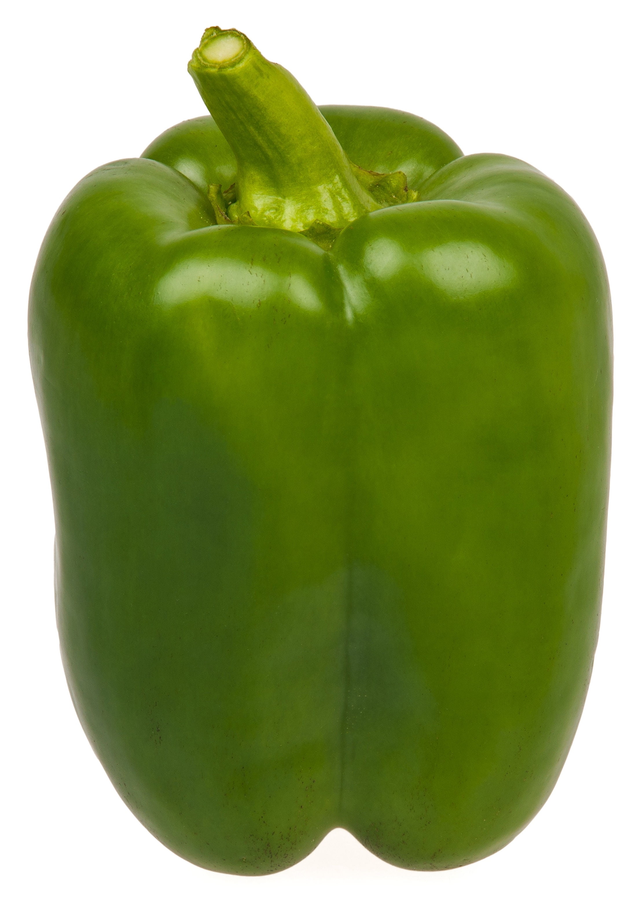 Organic California Wonder Pepper Seeds: French Farming'S Finest! - kepyvsc