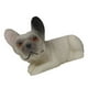 thumbnail image 5 of Figura de Bulldog Francés, Estatua de Animal Realista, Decoración para el Hogar, Coleccionable 8, 5 of 8