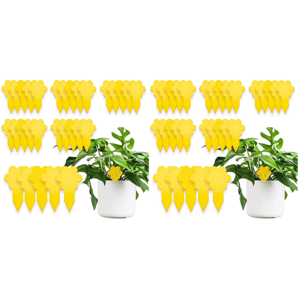 30 Trampas Adhesivas para Moscas La Insectos Protección Plantas Jardín Color Amarillo