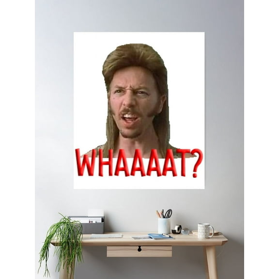 Kna Prints - 1 Pc Poster Copy Of Joe Dirt Merica, UNFRAMED-8x12