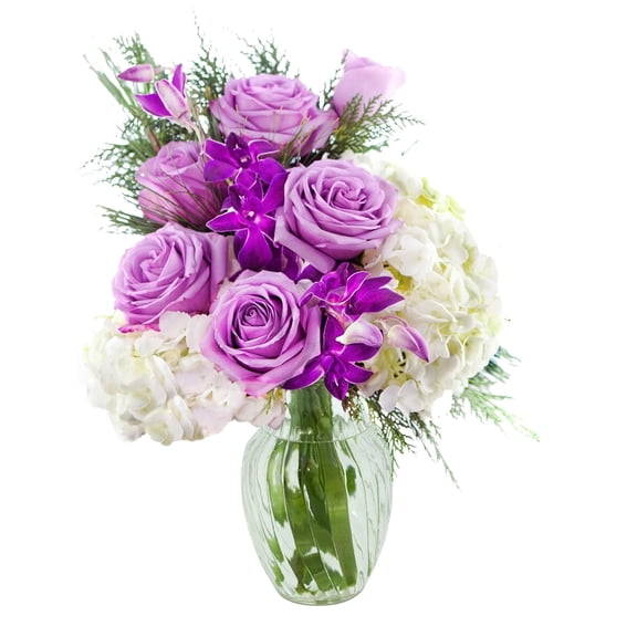 KaBloom : Purple Rose, White Hydrangea, Purple Orchid and Greens with vase Next-Day Delivery.
