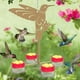 thumbnail image 3 of Methold Comederos para animales al aire libre con patrón de flores, herramienta de alimentación para colgar en el techo del jardín del patio del hogar Suministros de alimentación y agua para Methold PT004156-00, 3 of 6