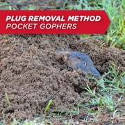 Amdro Mole & Gopher Bait Kills Moles & Gophers, 1lb.