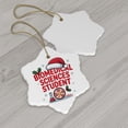 thumbnail image 4 of Biomedical Sciences Student Ornament, Christmas Ornament 2025, Personalized Gift for Biomedical Sciences Student Class Ceramic Snowflake Ornament Keepsake for Him or Her 211or7, 4 of 5