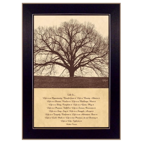 Trendy Decor 4U Life Is Framed Wall Art With Multi Finish JJ463B-712