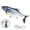 Grass Carp, variant on Cat Fish Toy, Realistic Flopping Fish Rocking Dog Toy, Electric Moving Fish with Interactive Function Cat Toy Pets Chew Bite Supplies Motion Sensor, USB Charged for Cat Exercise(Anemonefish)