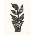 thumbnail image 2 of Prahl, Courtney 12x14 Black Ornate Wood Framed with Double Matting Museum Art Print Titled - Planted VI, 2 of 4