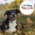 thumbnail image 3 of Collar de perro de estilo único Dinheiro, collar de perro mascota con lazo de regalo, adecuado para perros niñas o niños., 3 of 5