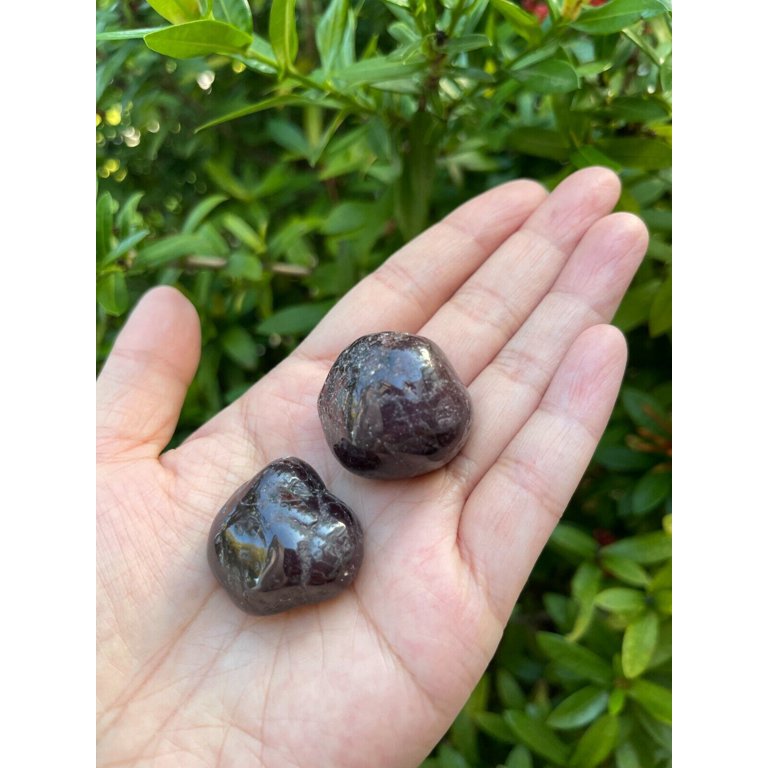 Polished Garnet Healing Crystals