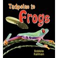 thumbnail image 2 of Tadpoles to Frogs, 2 of 3