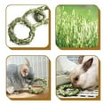 thumbnail image 5 of Visland 4Pcs/Set Rabbit Chew Toy - Natural Grass Ring Sticks Toys for Teeth Care, Chinchillas, Guinea Pigs, Gerbils, Rat, 5 of 8