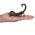 thumbnail image 4 of EMPEROR SCORPION 387133, 4 of 6