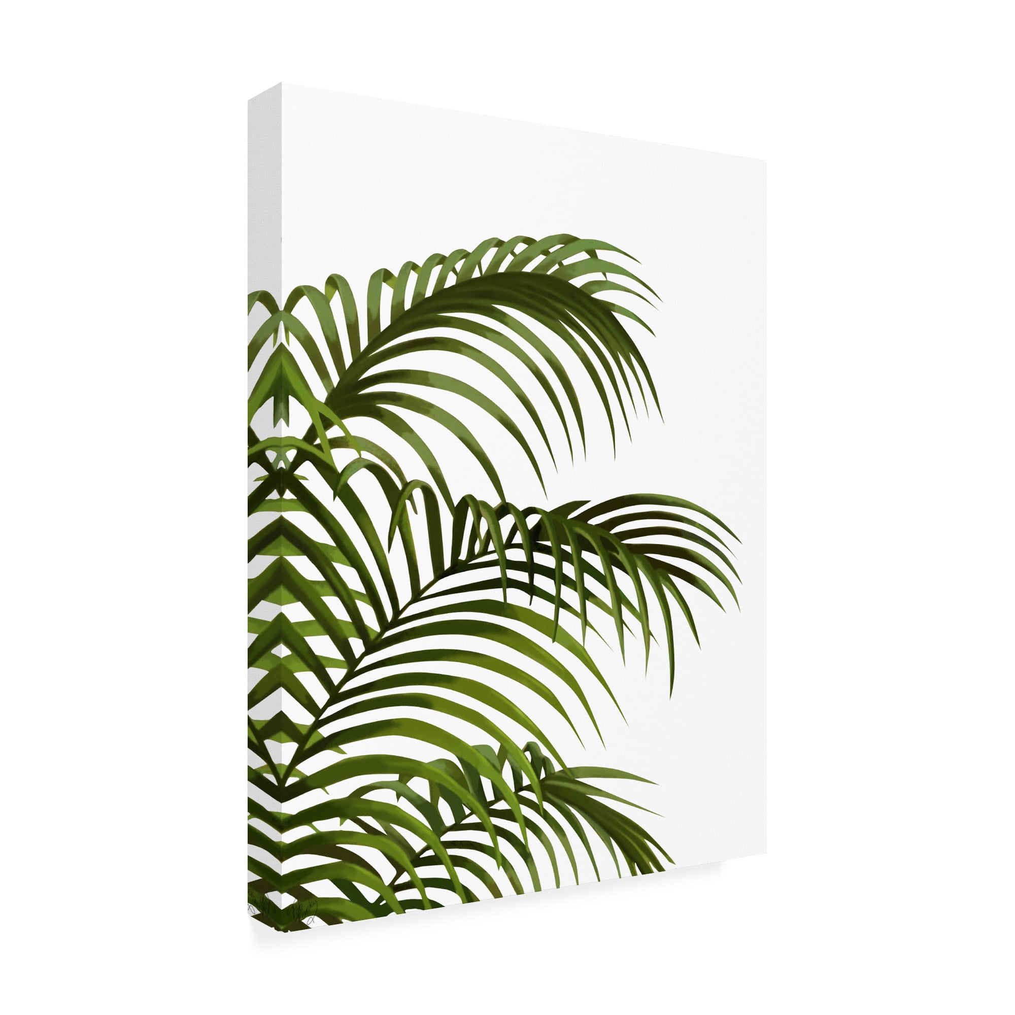 Trademark Fine Art 'Palm Leaf 1, Green On White' Canvas Art by Fab Funky