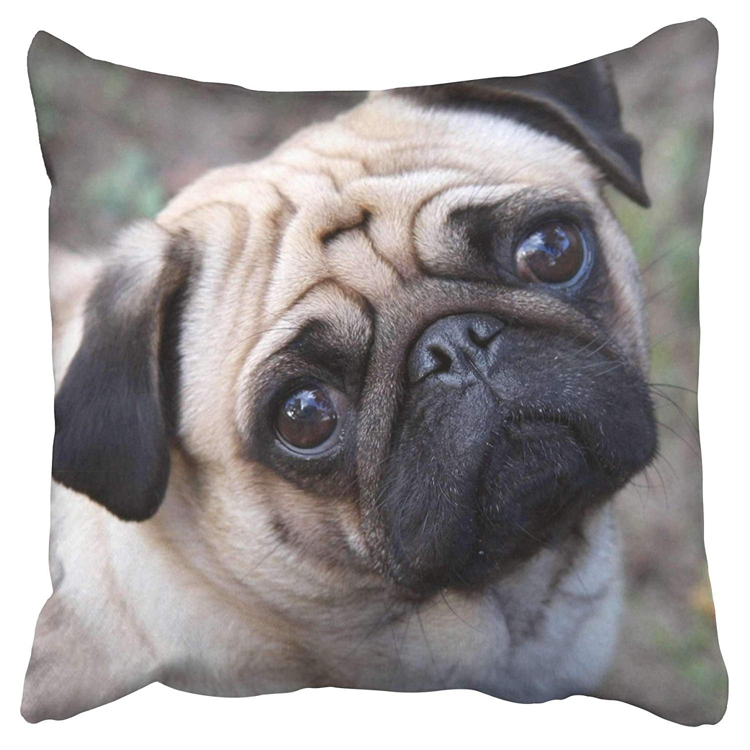ECCOT Lovely Cute Charming Pug Dog Pillow Case Pillow Cover 20x20 inch