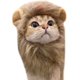 thumbnail image 1 of Disfraz de gato JAMW divertido sombrero de gato de melena para mascotas Sencillez, 1 of 3