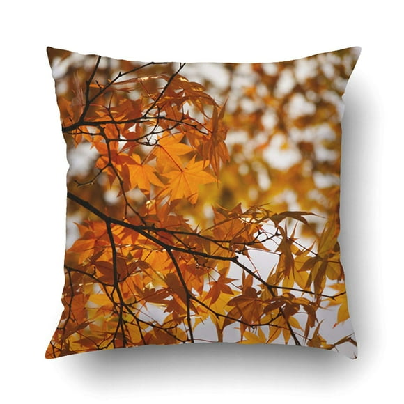 RYLABLUE Red Orange Leaves On The Autumn Forest In Public Park Shown Seasonal Theme Pillowcase Pillow Cushion Cover 18x18 inch