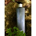 thumbnail image 2 of Caroline Chu Ayuverdic Herbal Thickening Boost Conditioner, 2 of 2