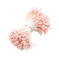thumbnail image 1 of Estambre Doble Cabeza Zulema Mini Flor Estambre, 1 of 8