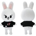 thumbnail image 3 of Peluche De Dibujos Animados, Juguete De Peluche De Animal Bonito, Regalo De Cumpleaños Y Navidad Para Niños Y Adultos sonducket HA046659-08, 3 of 6