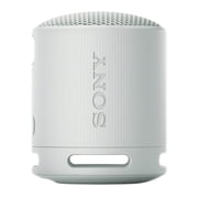 Sony SRS-XB100 Wireless Bluetooth Portable Speaker (Gray) with Case Bundle
