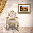 thumbnail image 3 of Jaynes Gallery 18x13 Gold Ornate Wood Framed with Double Matting Museum Art Print Titled - Utah-Monument Valley Landscape and dead tree, 3 of 4