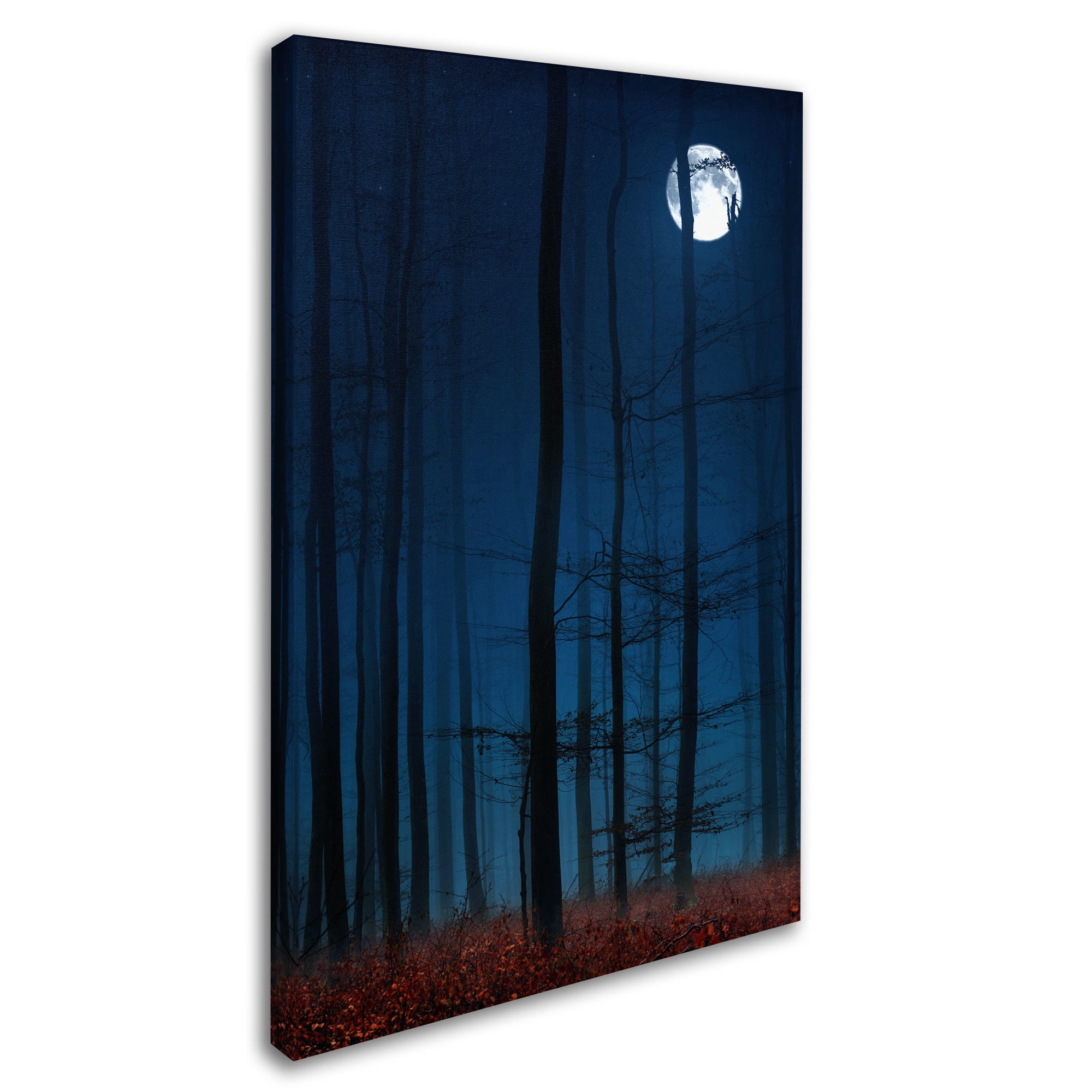 Trademark Fine Art "Blue Note" Canvas Art by Philippe Sainte-Laudy