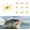 2.7"-10PCS Shiny Gold, variant on Urchin Fishing Bait, 2.7"/4.3" Floating Urchin Bait with Reflective Spots, Soft Tentacle Creature Lure for Sea, Slow Sinking