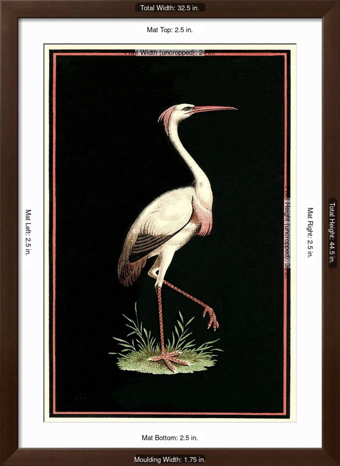 Art.com Crane on Black Background Art Print, Brown Frame Wall Art, 32" x 44"