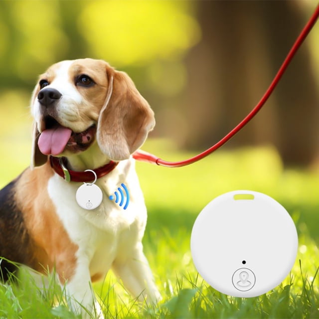 MesaSe Bluetooth 5.0 GPS Tracker Pet & Item Locator Smart Anti-Loss Device Keychain Wallet Bag Portable & Rechargeable | Security Sale Home Essentials(Orange)