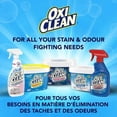 thumbnail image 4 of Clorox® Clean-Up® Disinfecting Bleach Cleaner Spray, Original Scent, 946 mL, 4 of 4