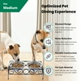 thumbnail image 2 of Iconic Pet Elevated wired pet double diner - Medium- 32 Oz, 2 of 8