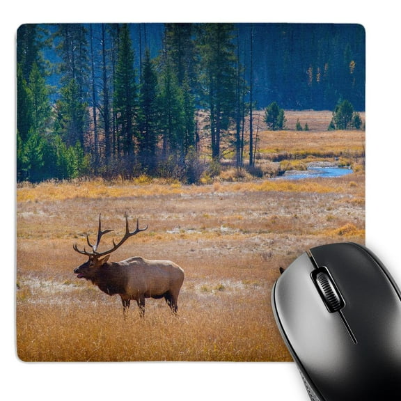 3dRose, USA, Colorado. Elk in Rocky Mountain National Park., MousePad