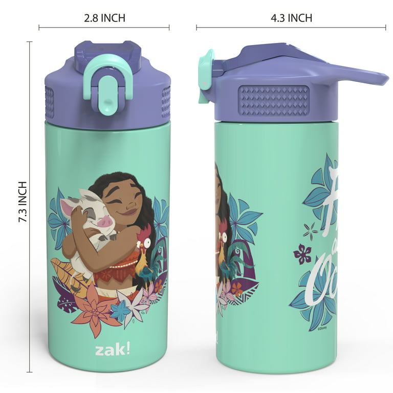 Zak Designs Bluey 14 ounce Kids Stainless Steel Vacuum Insulated Water  Bottle, Bluey and Friends 