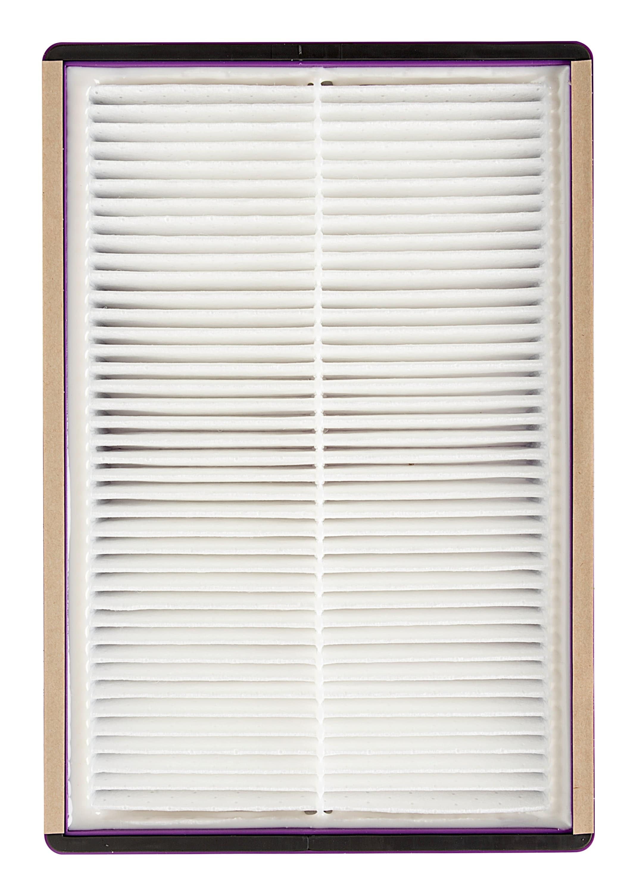 Filtrete by 3M Advanced Allergen, Bacteria & Virus True HEPA Room Air Purifier Filter, Replaces Size B Filters