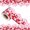 X217, variant on Bulletin Board Borders Flower Scalloped Border Trim Decorations School Bulletin Board Border Wall Locker Decorations