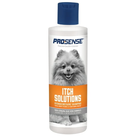 Pro-Sense Itch Solutions Hydrocortisone Shampoo, 8 (Best Antibiotic For Cat Uti)