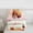 Capybara 03, variant on Erosebridal Animal Capybara Duck Twin Comforter Sets 3-Piece For Child Boys Girls,Kids Cartoon Rainbow Bedding Set,Pink Reversible