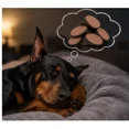 thumbnail image 3 of 10 Piece Filled Dog Chew Hooves Choose Bully Beef, Cheese Bacon or Peanut Butter (Bully Beef), 3 of 8