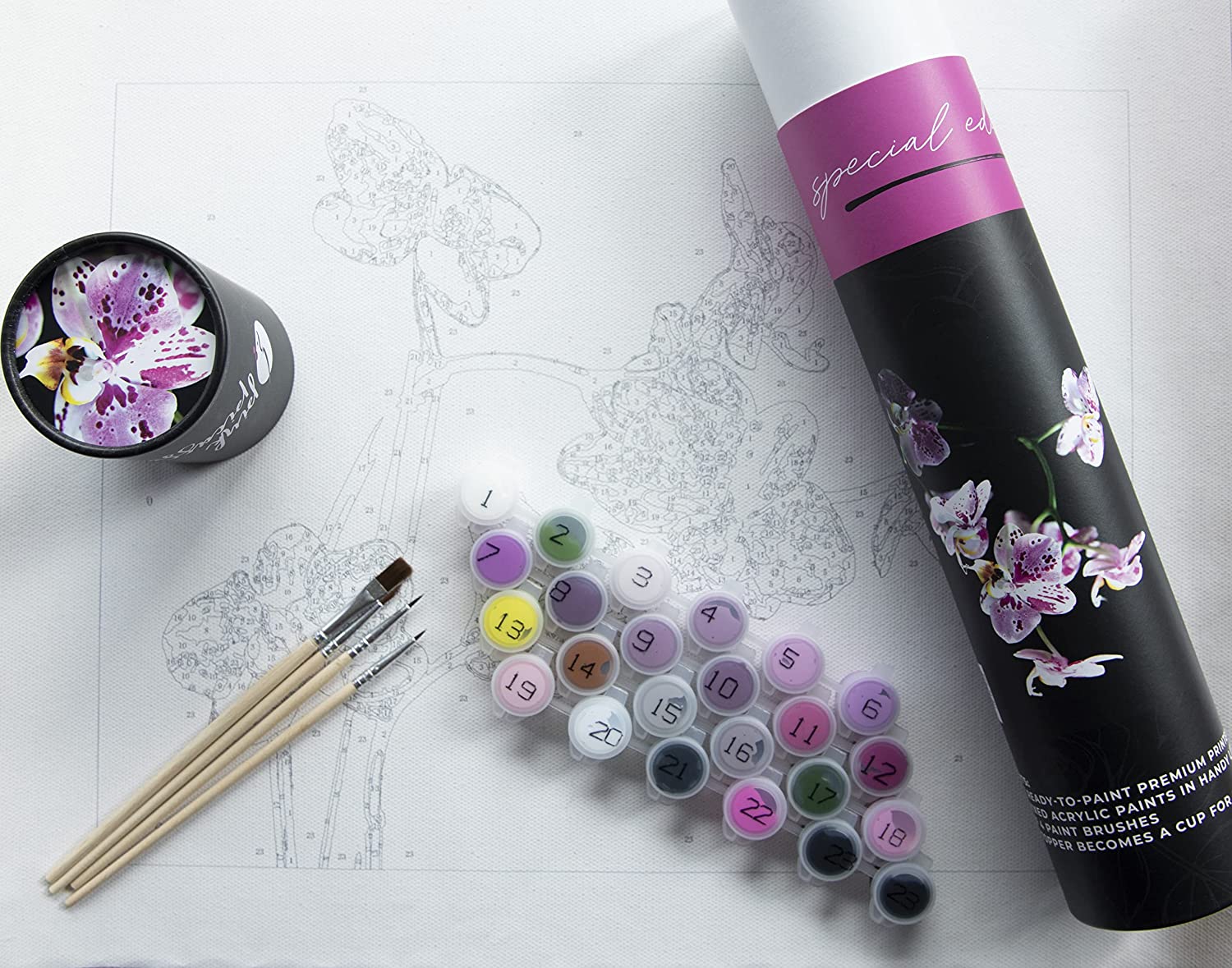 Pink Picasso Authenticity Paint by Number Kit 
