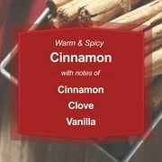 Mainstays Single-Wick Scented Glass Jar Candle, Cinnamon, 20oz.