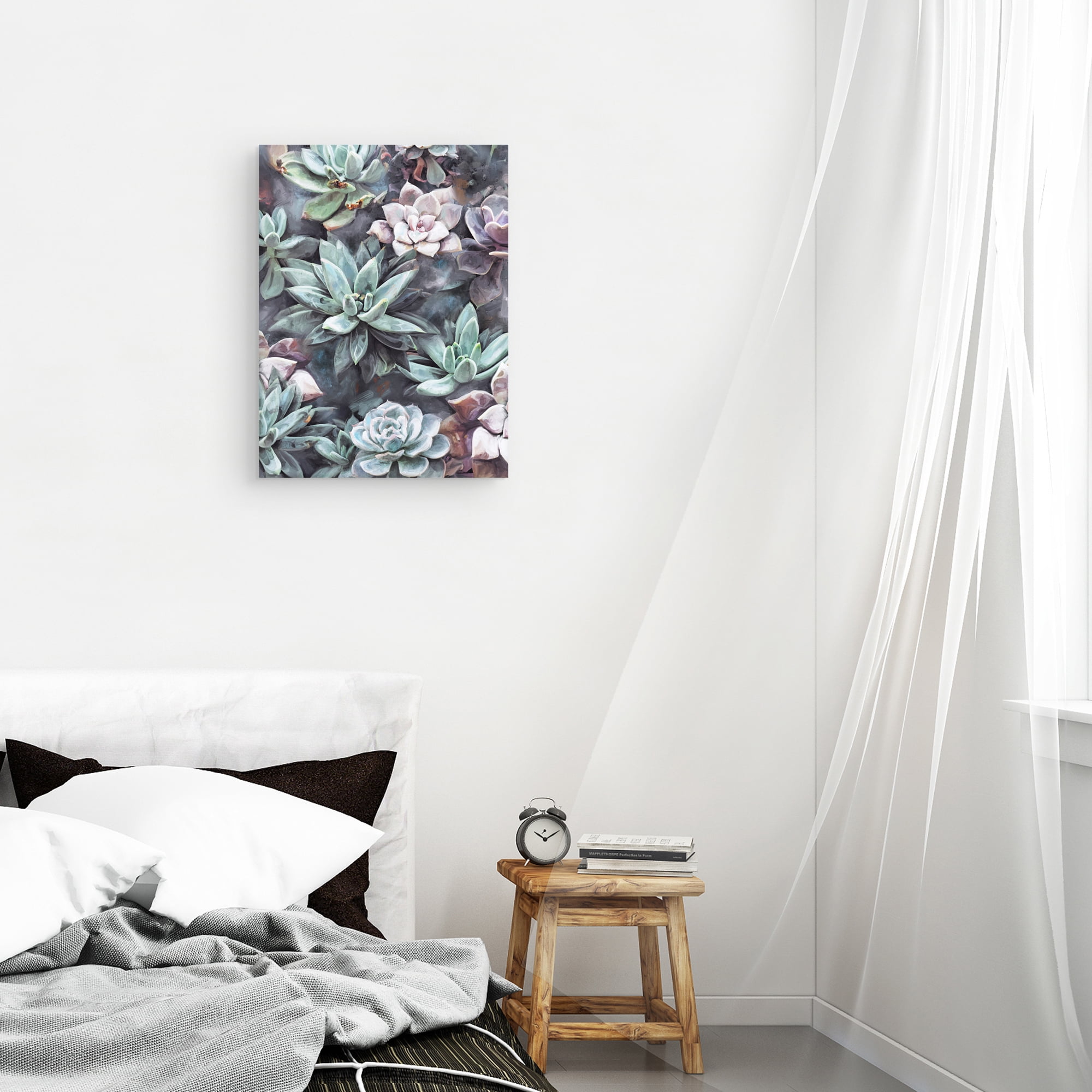 Succulents on Gray by Studio Arts Canvas Art Print