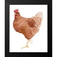 thumbnail image 2 of McKenna, Kathleen Parr 15x18 Black Modern Framed Museum Art Print Titled - Life on the Farm Chicken Element IV, 2 of 5