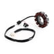 thumbnail image 1 of Generador de estator magnético para Yamaha X-Max 300 250 Tricity Evolis 300 2017-2020, 1 of 9