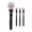 Black, variant on 4-in-1 Magnetic Makeup Brush Set for Women - Professional Foundation, Contour, Eyeshadow Brushes - Portable Travel Makeup Tools