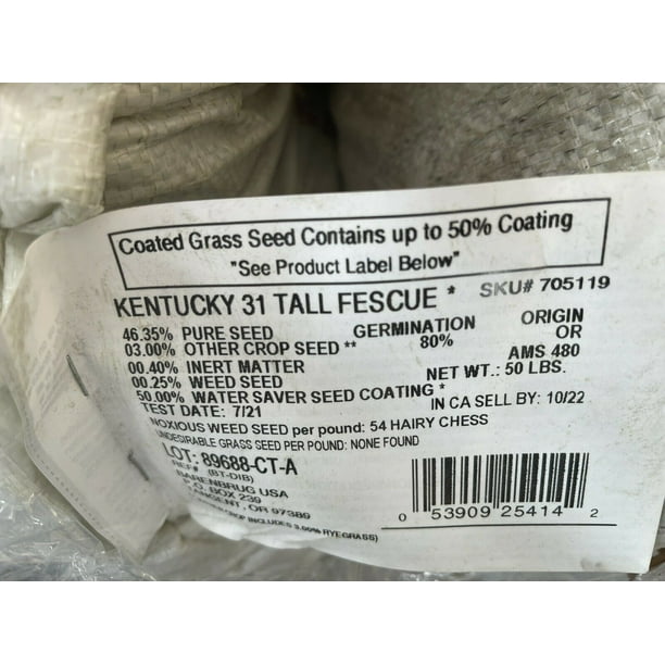 Barenbrug Coated 705119 Kentucky 31 Tall Fescue Grass Seed, 50Lbs