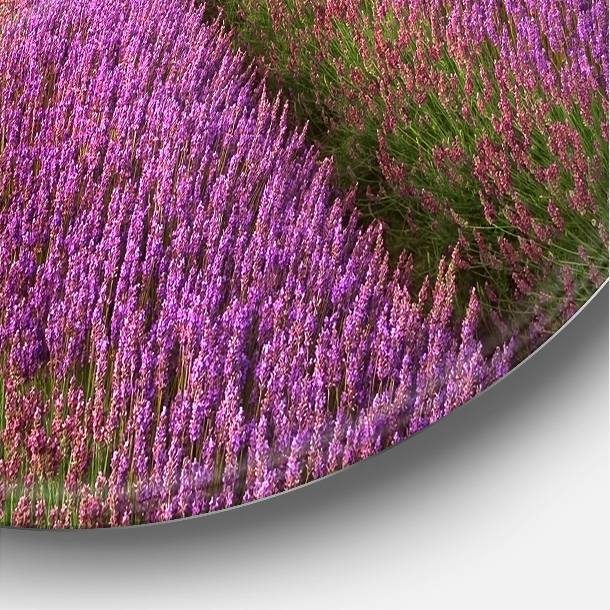 Designart 'Tree With Stunning Lavender Field Summer Sunset' Farmhouse Circle Metal Wall Art 29x29 - Disc of 29