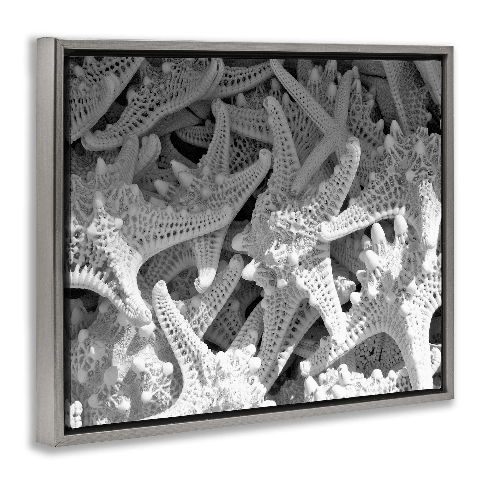 Stupell Industries Nautical Starfish Pile Coastal Photography Gray Floater Framed Canvas Art Print Wall Art, 31 x 25