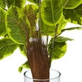 thumbnail image 3 of Nearly Natural 39.5" H Artificial Rubber Plant in Cylinder, Green, 3 of 3