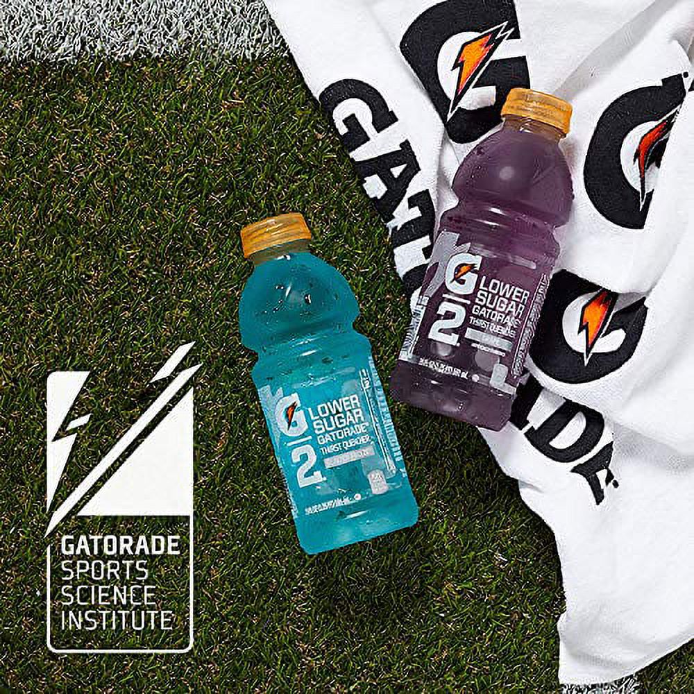 Gatorade G2 Thirst Quencher Assortment, Individual 3-Flavor Variety ...