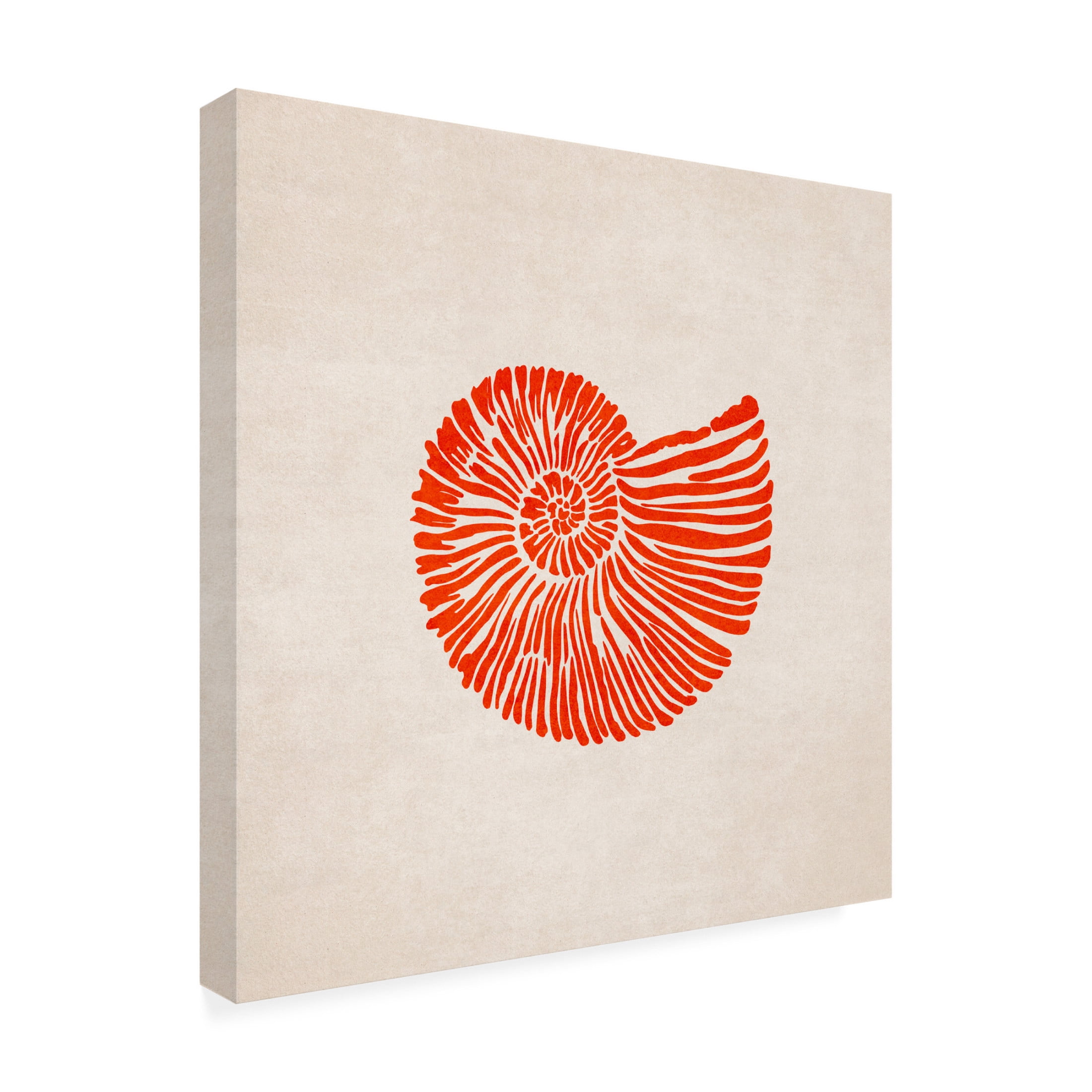 Trademark Fine Art Emel Tunaboylu  Shell Canvas Wall Art